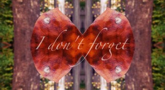 17A. SEIZING POWER ANNIVERSARY Issue 201314