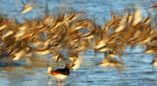 CARLA - 00CA. LETTERS TO THE EDITOR POWER Issue 2014 JPG