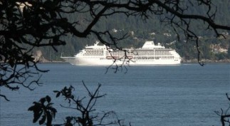 LIMONCELLO - WITS END POWER Issue 2013