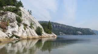 SYNAPTIC TRANSMISSION POWER Issue 2013