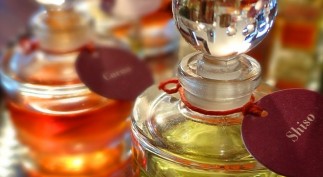 22A. PIZZAZZ ANNIVERARY Issue 2012 Peter WRAP Peter JPG