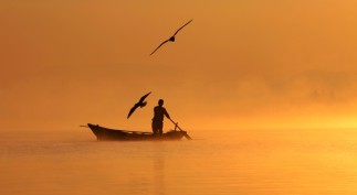 Remembering Summer Past