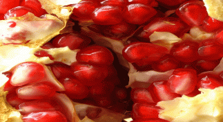 You-are-what-you-ate