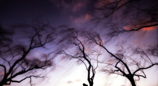 The Strength Of The Weak