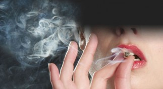 1328624963392_ORIGINAL