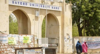 web-nigeria_jpg_1400746cl-8