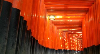 Spectacular Buildings