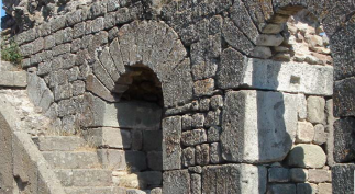 Synaptic transmission