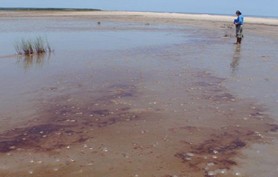 oil-spill-louisiana-278