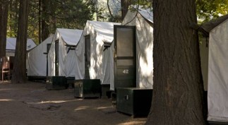 ap-yosemite-rodent-disease-4_3_r560