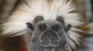 life-vergano-20120928-150401-4_3_r560