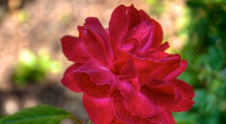 HDR photography involves multiple shots at different exposures combined into one image so the viewer can see more of what's there.