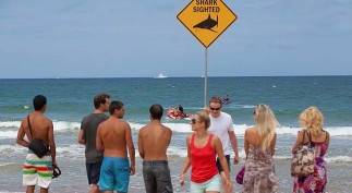 art-IMG_9313-620x349