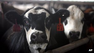 _59887753_014600180-1