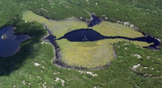 hi-ela-cp-ho-02764586