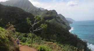 21A. SYNAPTIC Transmission ANNIVERSARY Issue 201314 JPG