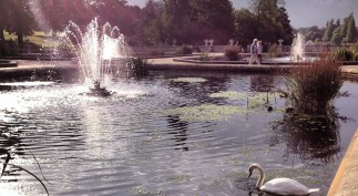 Hyde Park - The Italian Gardens, located at the west end of the Serpentine, are an oasis of spectacular