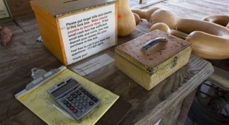 Nation of Distrusters