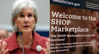 sebeliustop_20131231_154012