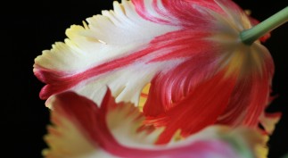 HDR photography involves multiple shots at different exposures combined into one image so the viewer can see more of what's there.