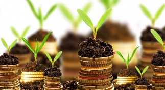 1A. Chapter #8 2013 ANNIV - WISHFUL THINKING - THE MARVELOUS MAV ANNIVERSARY Issue 2013-14 JPG