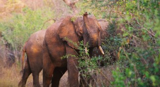 HDR photography involves multiple shots at different exposures combined into one image so the viewer can see more of what's there.