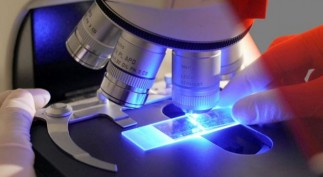 kill cancer permanently