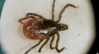 12347E7B-F837-44B6-BBD0-FC29BB01171A_w640_r1_s_cx0_cy10_cw0