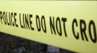 1297555908543_ORIGINAL