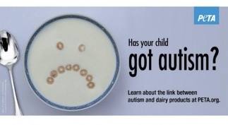 1401414700156_jpg-620x349