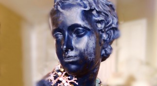 22A. PIZZAZZ WORLD LUXURY Issue CROP