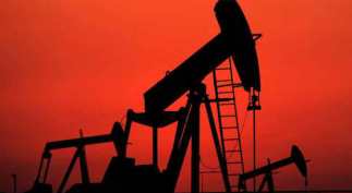 10376849_10204373050632746_8113722211244019975_n